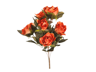 Piquet de 6 roses A