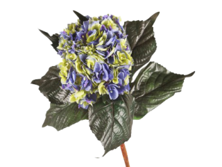 Piquet hortensias bleu